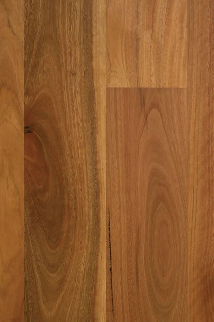 Australian Spotted Gum