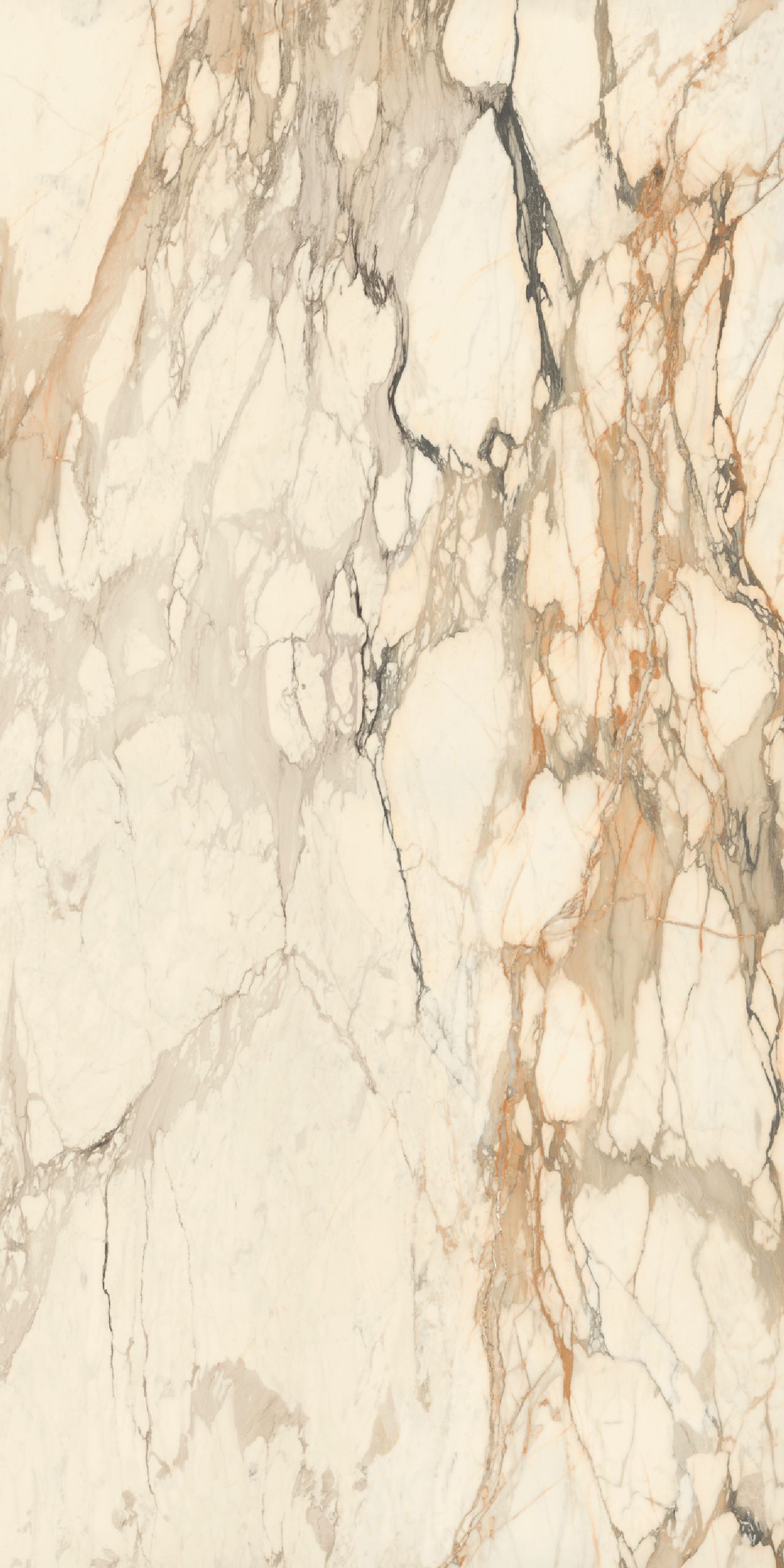 1620x3240x12 Grande Porcelain Slab Marble Look Calacatta Vena Vecchia Satin by Marazzi