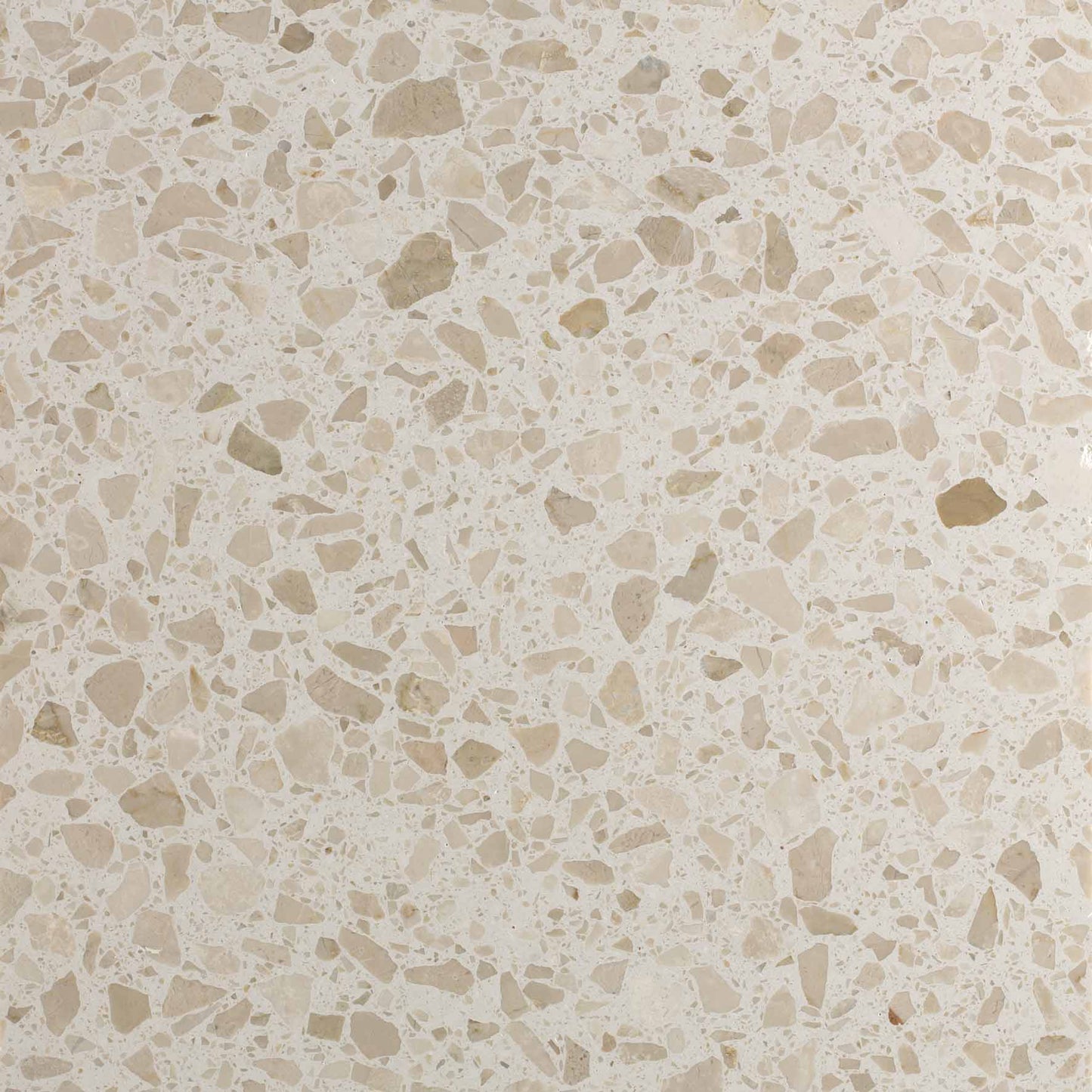 1250x3050 Granito Botticino Small Chip Classic Terrazzo Honed Slab