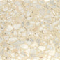 600x600 Granito Pellestrina Beige Venetian Terrazzo Honed Tiles