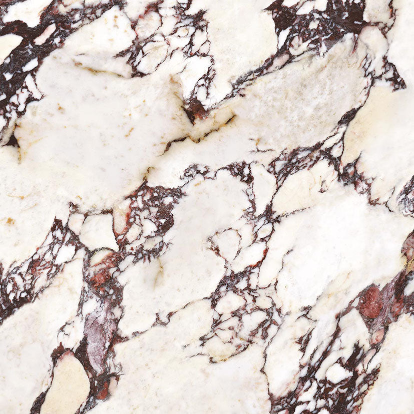 Modern bathroom and living with 600x600 Calacatta Viola Marble Look tile walls and floors. Melbourne, Geelong, Shepparton, Ballarat, Bendigo, Mornington, Bellarine, Peninsula tiles. Victoria and Nationwide Delivery. Australia.