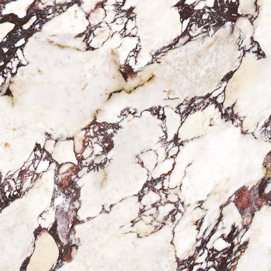 Modern bathroom and living with 600x600 Calacatta Viola Marble Look tile walls and floors. Melbourne, Geelong, Shepparton, Ballarat, Bendigo, Mornington, Bellarine, Peninsula tiles. Victoria and Nationwide Delivery. Australia.